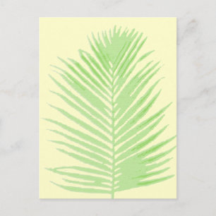 palmboom briefkaart