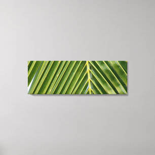 Palmboom Canvas Afdruk