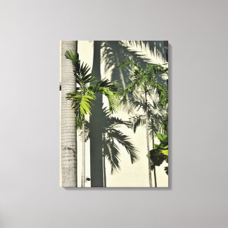 palmboom canvas afdruk