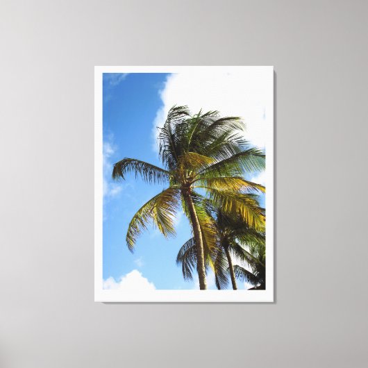 Palmboom canvasprint canvas afdruk (Voorkant)