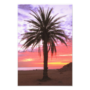 Palmboom en Dawn Sky Foto Afdruk