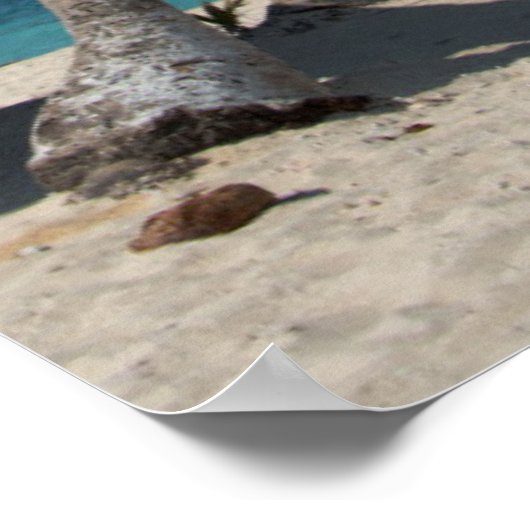 Palmboom en strand poster (Hoek)