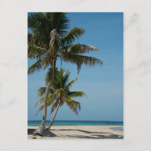 Palmboom en witzand briefkaart