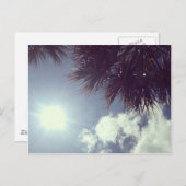 Palmboom en -zon briefkaart (Voorkant / Achterkant)
