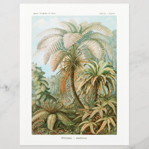 Palmboom Ernst Haeckel tissue papier
