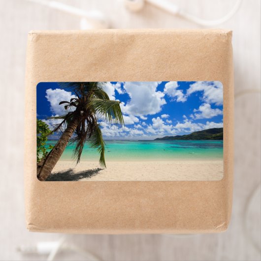 Palmboom Etiket (Insitu)