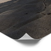 Palmboom, foto van Joe Dantone Poster (Hoek)