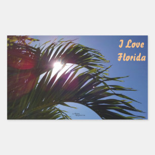 Palmboom Ik hou van Florida Stickers