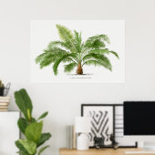 palmboom, illustratie poster (Thuiskantoor)