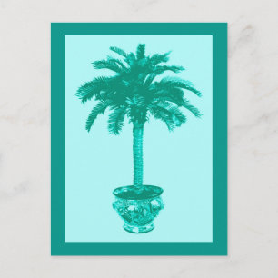Palmboom in pot, turquoise en aqua briefkaart
