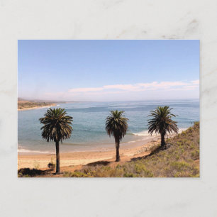 Palmboom Kustlandschap Originele Fotografie Briefkaart