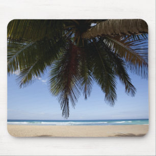 Palmboom langs het Caribische Zee. Muismat