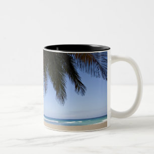 Palmboom langs het Caribische Zee. Tweekleurige Koffiemok
