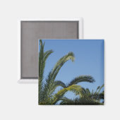 Palmboom Magnet Magneet (Voorkant / Achterkant)