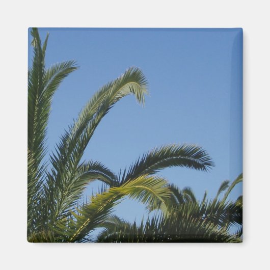 Palmboom Magnet Magneet (Voorkant)