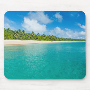 Palmboom omzoomd strand, Tonga Muismat