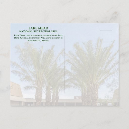 Palmboom-omzoomde wandeling Bezoekerscentrum Lake Briefkaart (Achterkant)