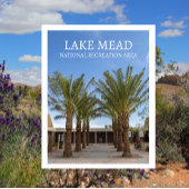 Palmboom-omzoomde wandeling Bezoekerscentrum Lake Briefkaart