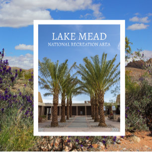 Palmboom-omzoomde wandeling Bezoekerscentrum Lake Briefkaart