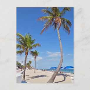 Palmboom op de strand briefkaart