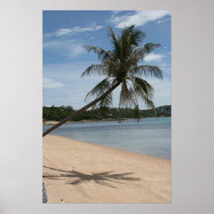 palmboom poster
