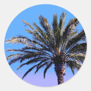 palmboom ronde sticker