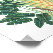 Palmboom Tropisch Plant Poster #1 strandeeg (Hoek)
