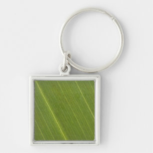 Palmboomblad Sleutelhanger
