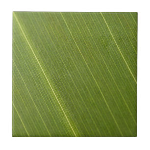 Palmboomblad Tegeltje
