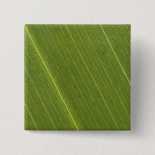 Palmboomblad Vierkante Button 5,1 Cm