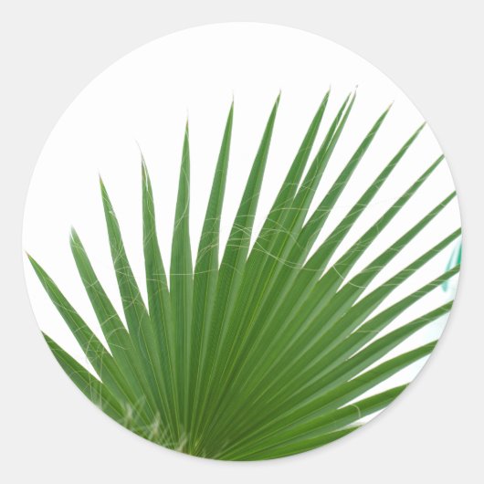 Palmboombladeren Ronde Sticker (Voorkant)