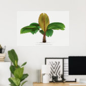  palmboomdruk op de Seychellen Poster (Thuiskantoor)