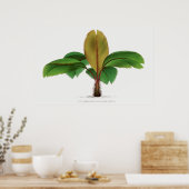  palmboomdruk op de Seychellen Poster (Keuken)
