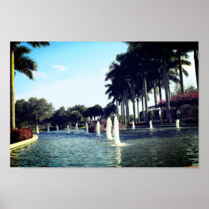 PALMBOOMEN EN FONTEIN POSTER