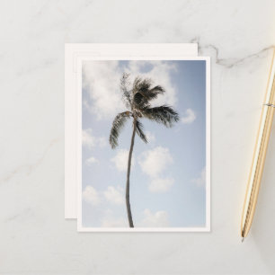 Palmboomfoto Tropisch Strand Hawaii Briefkaart