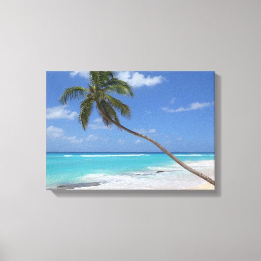 Palmboomkaribboon Canvas Afdruk (Voorkant)