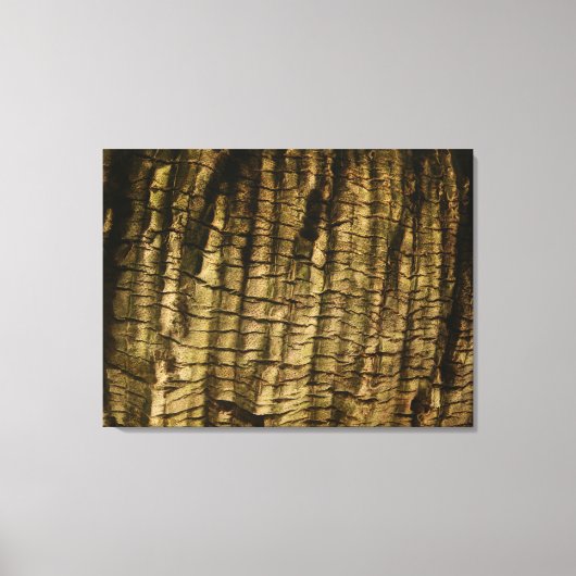 Palmboomschors Canvas Afdruk (Voorkant)
