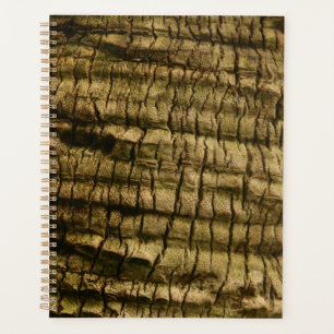 Palmboomschors Planner