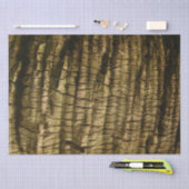 Palmboomschors Tissuepapier (Craft)