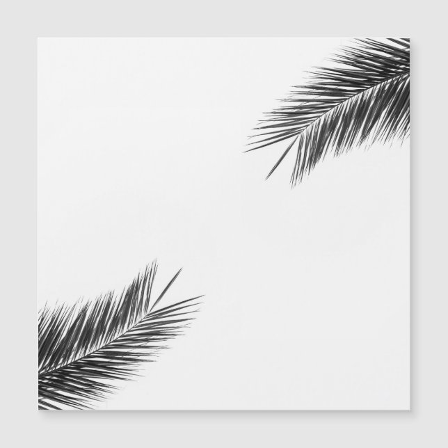 Palmboomtak (Voorkant)