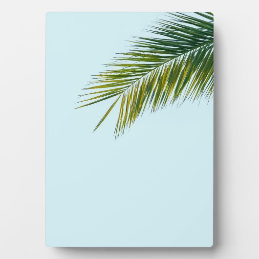 Palmboomtak Fotoplaat (voorkant)