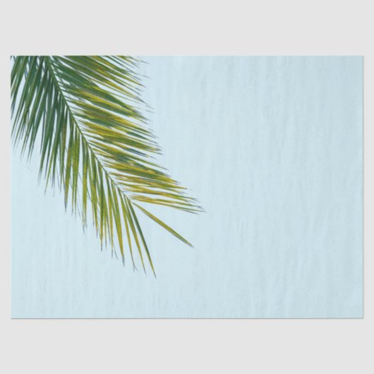 Palmboomtak Tissuepapier (Voorkant)