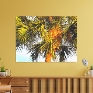 Palmboomvertakkingen, namiddag zon canvas afdruk
