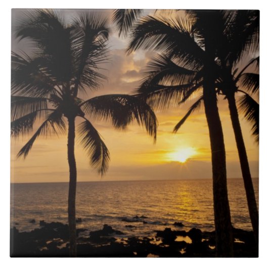 Palmboomzonsondergang Tegeltje (Voorkant)