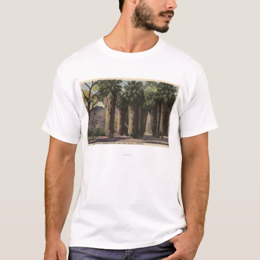 Palmcirkel, Andreas Canyon T-shirt (Voorkant)