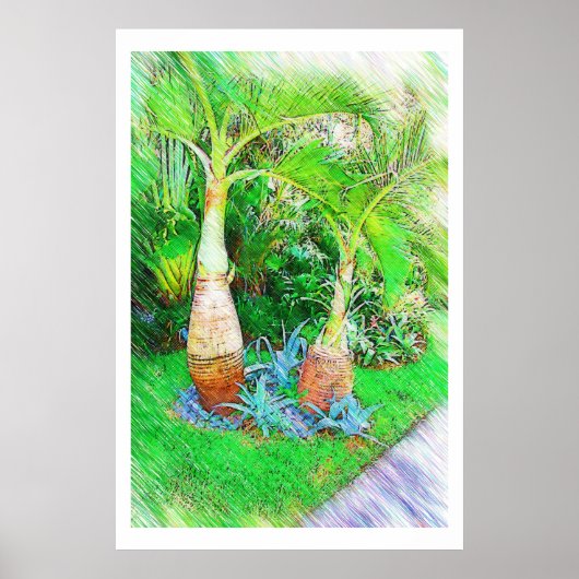 Palmen en landschap - Miami Beach, Fl collectie Poster (Voorkant)