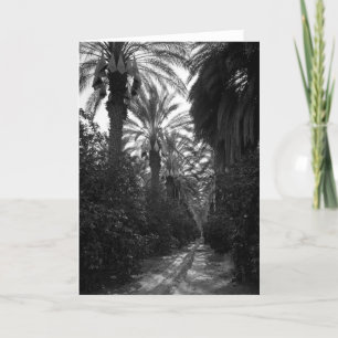 Palmen en Oranje Bomen dichtbij Woestijn, 1966 Kaart