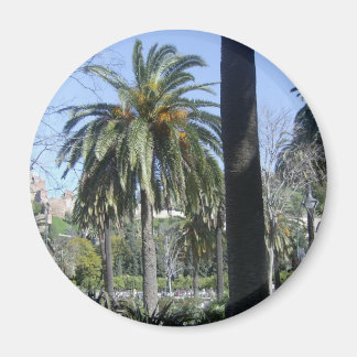 Palmen in Malaga Magneet