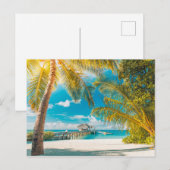 Palmen op de Zonsondergang Briefkaart (Voorkant / Achterkant)