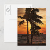 palmen van het paradijssilhouet briefkaart (Voorkant / Achterkant)